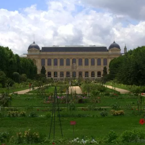 jardin2