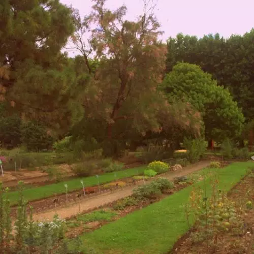 jardindesplants