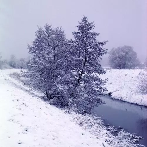 woldsinsnow