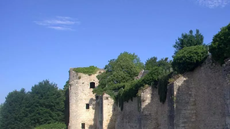 charitewallssmall