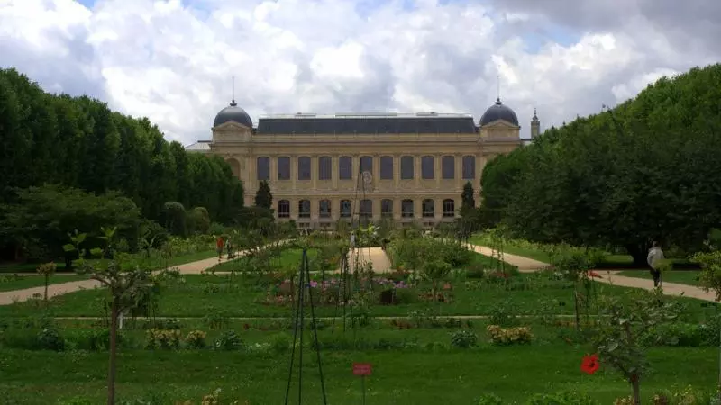 jardin2