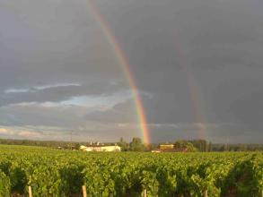 bordeauxrainbowsmall