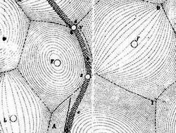descartes aetherwirbel