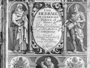 gerardherbal